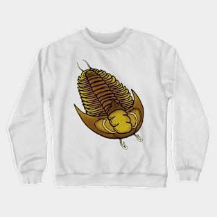 Aojia Crewneck Sweatshirt